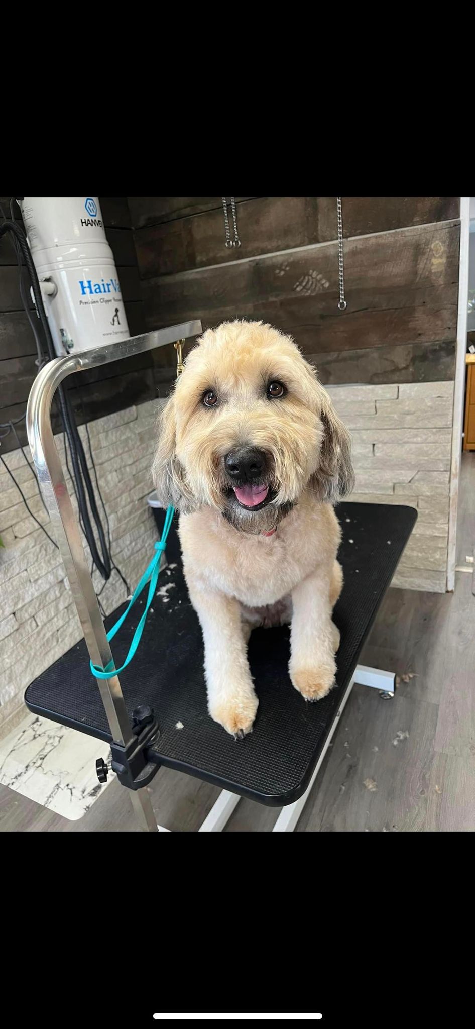Another happy groom